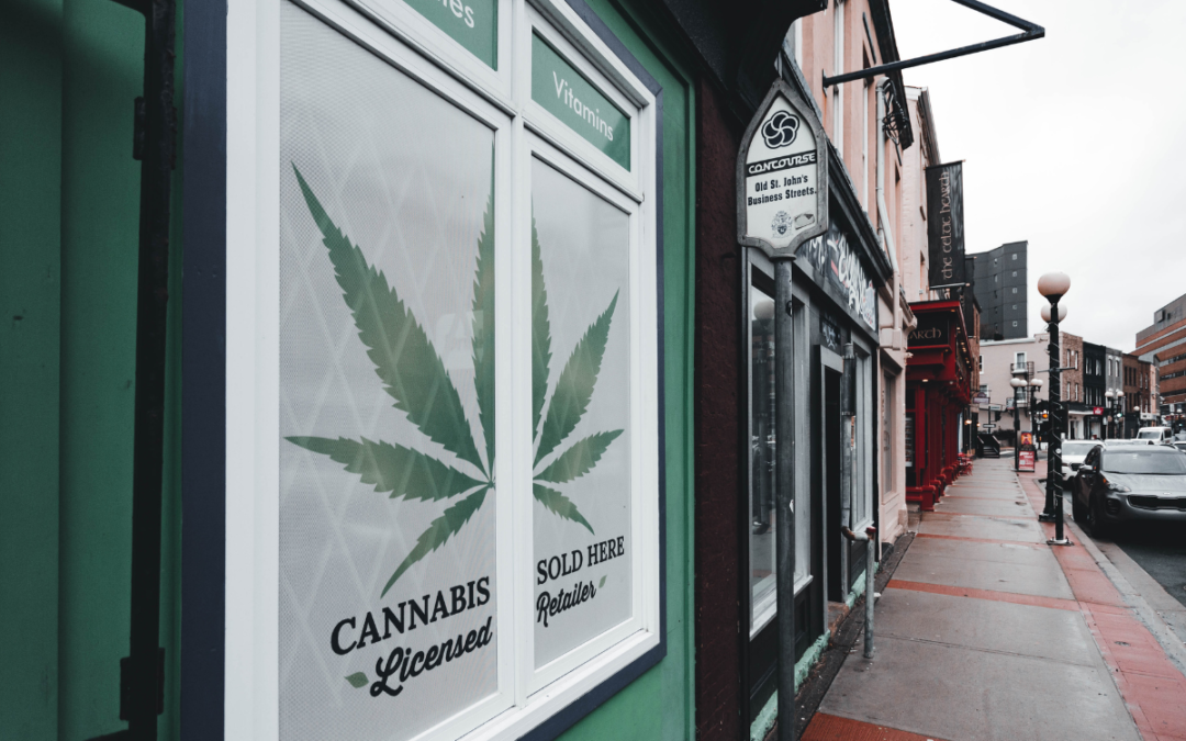 Erfahrungsberichte zu Online-CBD-Shops: Was Nutzer über Justbob diskutieren